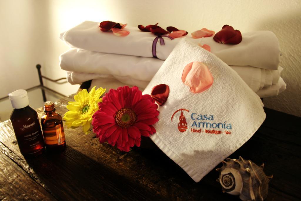 Hotel Casa Armonia 特拉克帕克 外观 照片