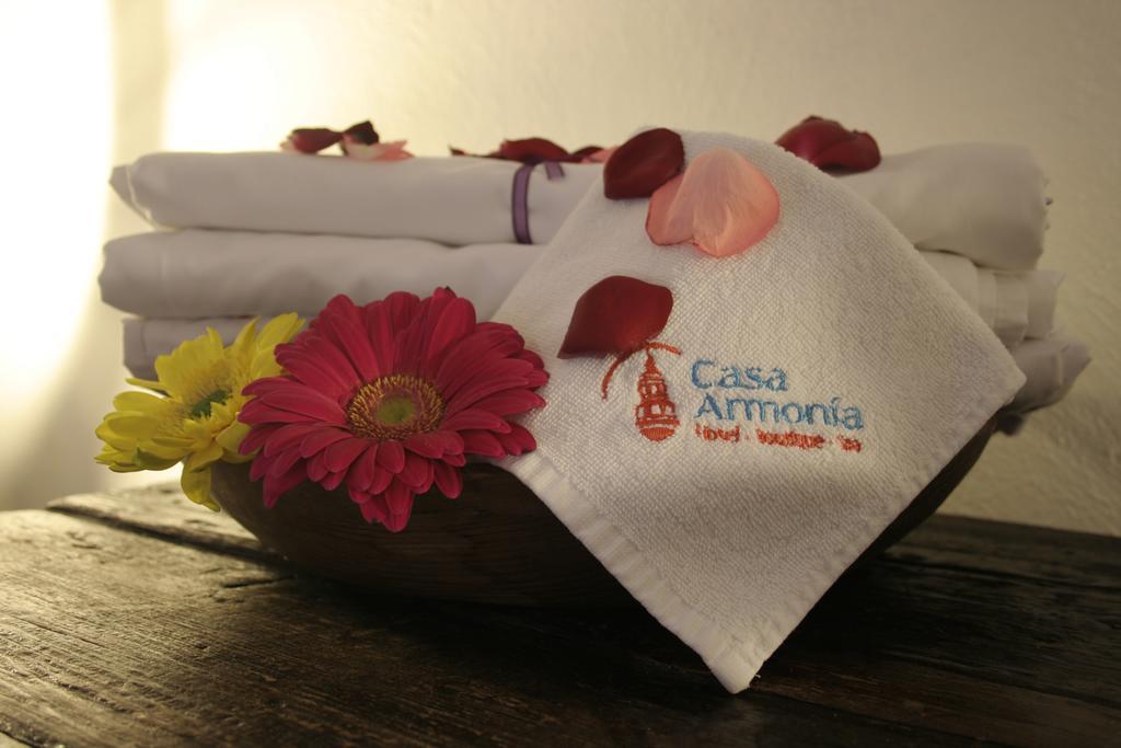 Hotel Casa Armonia 特拉克帕克 外观 照片